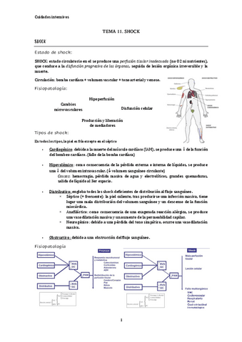 TEMA-11.-SHOCK.pdf