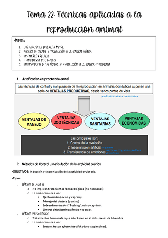 Tema-22-fisio-animal.pdf