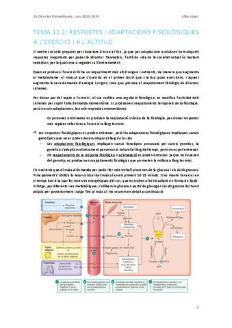 Respostes-i-adaptacions-fisiologiques-a-lexercici-i-altitud.pdf