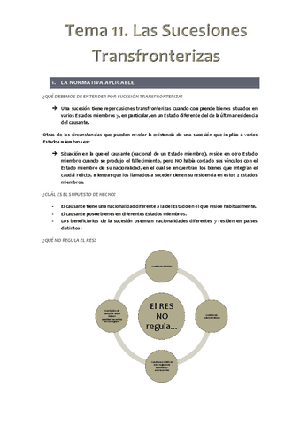 Tema-11-Las-Sucesiones-Transfronterizas.pdf