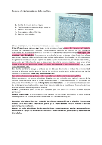 Pregunta-no5-y-6.pdf