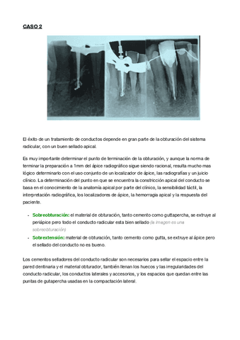 PREGUNTAS-.docx.pdf