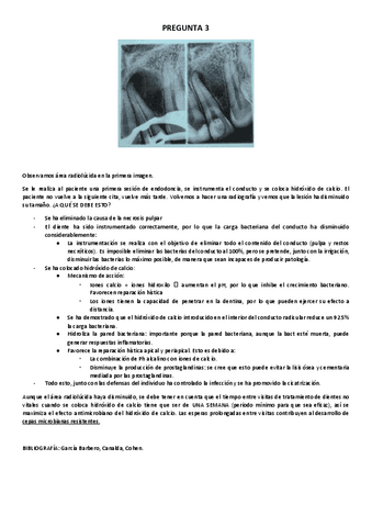 PREGUNTAS.docx.pdf