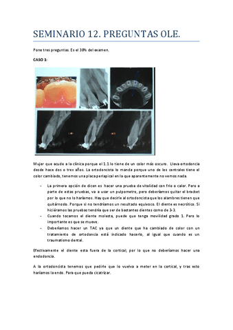 SEMINARIO-12-.docx.pdf