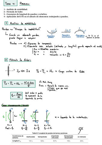 Tema-4-Pandeo.pdf
