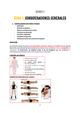 TEMA-1.-CONSIDERACIONES-GENERALES.pdf