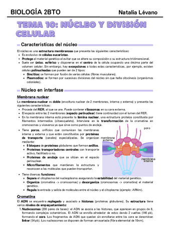 Tema-10-nucleo-y-division-celular.pdf