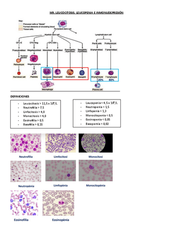 M9.-Leucocitosis-leucopenia-e-inmunodepresion.pdf