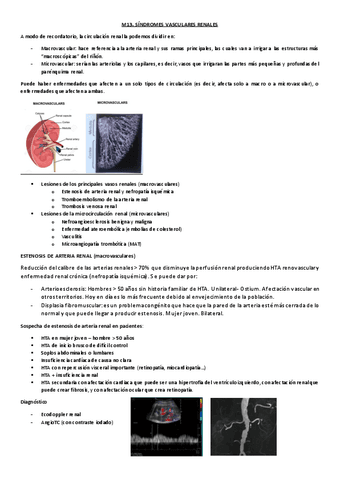 M13.-Sindromes-renales-vasculares.pdf