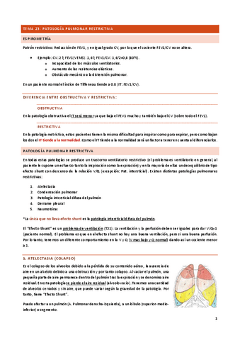 Tema-23.pdf