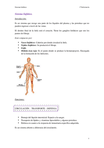 Sistema-linfatico-parcial.pdf