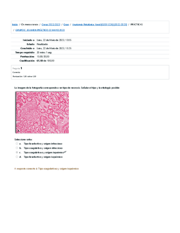 Examen-Practico-Anatomia-Patologica-GeneralMayo-2023-Online.pdf