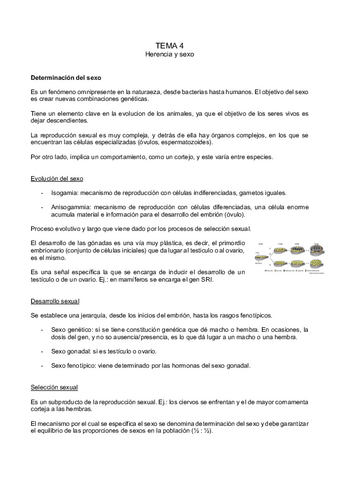 tema-4.pdf