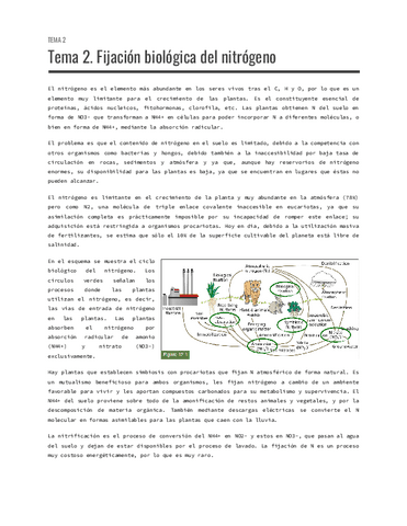 Tema-2.-Fijacion-biologica-del-nitrogeno.pdf