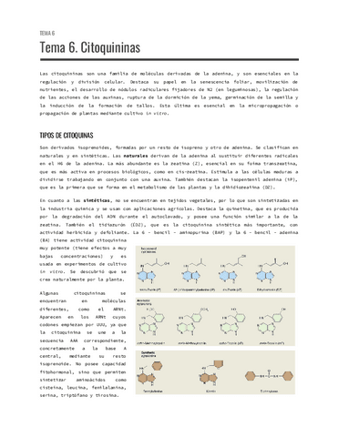 Tema-6.-Citoquininas.pdf
