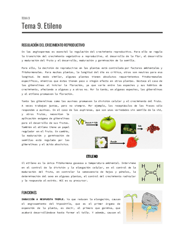 Tema-9.-Etileno.pdf