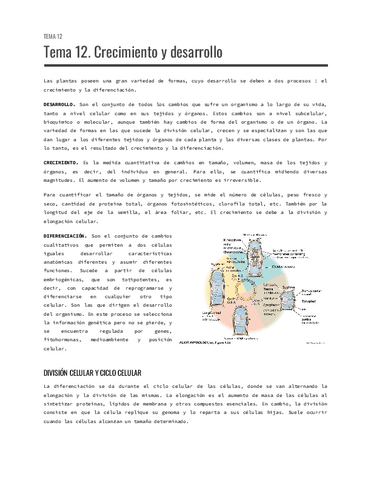 Tema-12.-Crecimiento-y-desarrollo.pdf