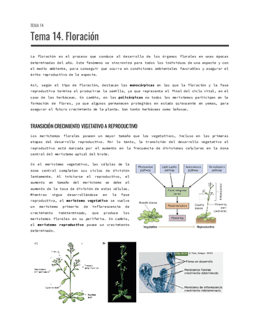Tema-14.-Floracion.pdf