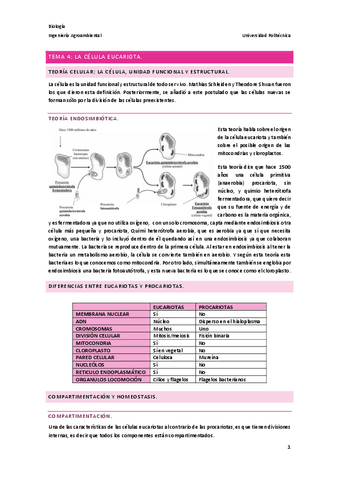 Tema-4.-Celula-Eucariota..pdf