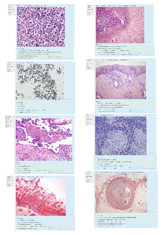 Examen-Practico-Anatomia-Patologica-2023.pdf