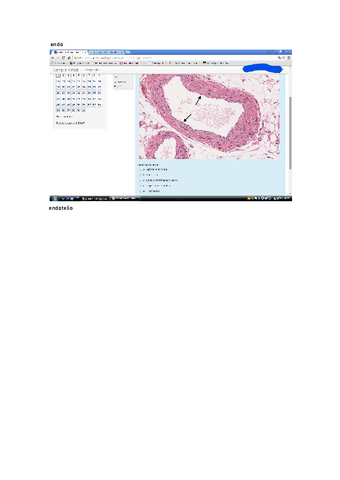 Prueba-Histo-General-2020.pdf