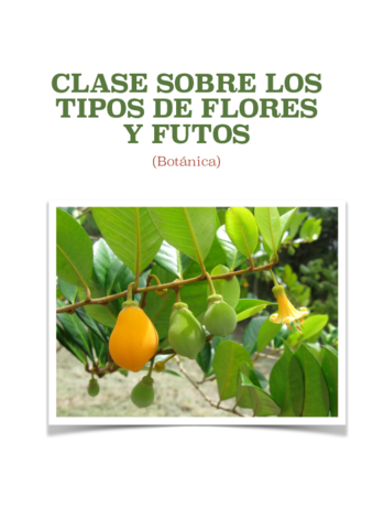clase sobre frutos y flores.pdf
