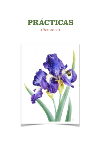 practicas de4 botanica.pdf
