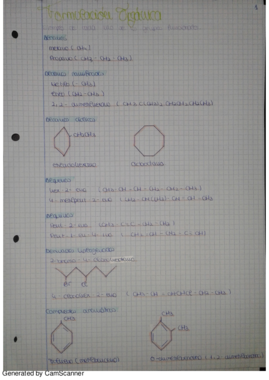 Formulacion.pdf