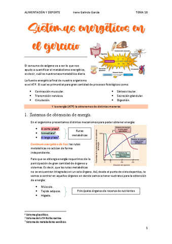 Tema-10.-Sistemas-energeticos-en-el-ejercicio.pdf