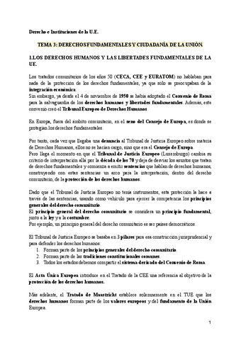 Tema-3-Derecho-e-Instituciones-de-la-UE.pdf