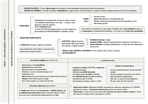 ESQUEMAS-RESUMEN.pdf