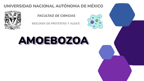 Amoebozoa.pdf