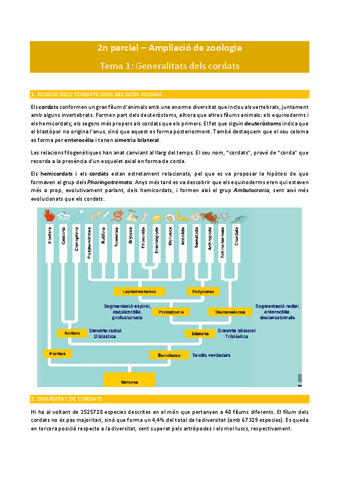 2n-parcial-Ampliacio-de-zoologia.pdf