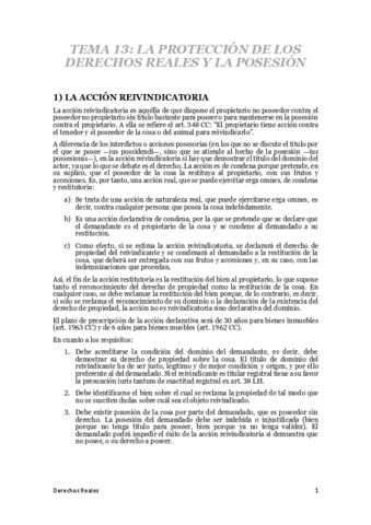 Tema-13.-La-proteccion-de-los-derechos-reales-y-la-posesion.pdf
