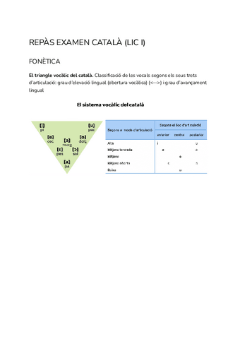 Teoria-examen-catala.pdf