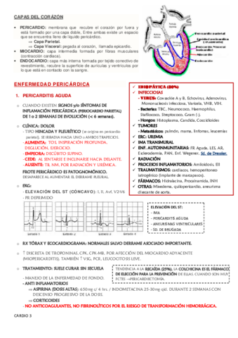 enfermedad pericardica - endocarditis , fiebre reumática y HTA.pdf