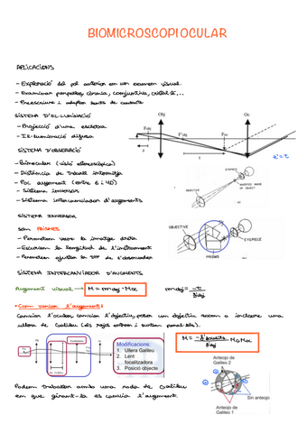 Apunts-BioMicroscopi-OCULAR.pdf