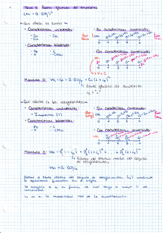 Apuntes-T5.pdf