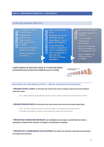 TEMA-3-PSICOLOGIA-DEL-DESARROLLO.pdf