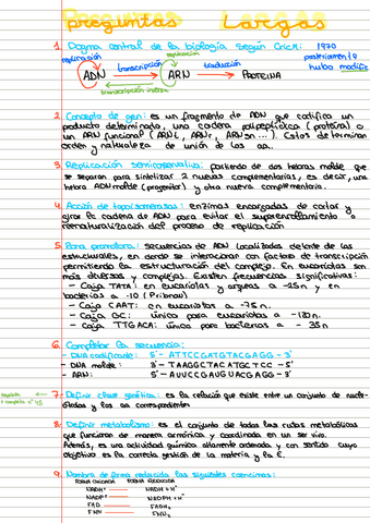 Preguntas-largas.pdf