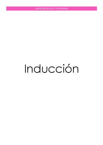 Induccion.pdf