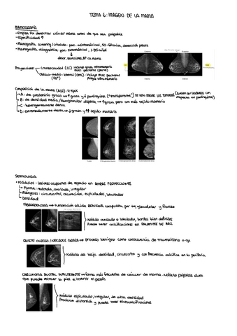 Tema 6 - Imagen de la mama.pdf