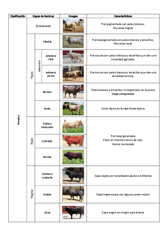 Etnologia-Capas-Bovidos.pdf