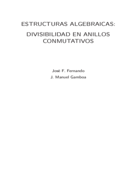 Divisibilidad en Anillos Conmutativos.pdf