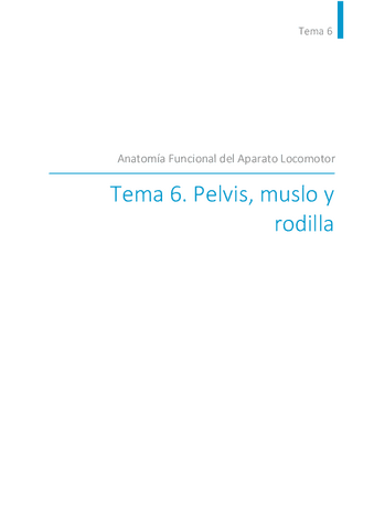TEMA-6.pdf