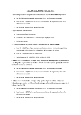 EXAMEN SEGURIDAD Y SALUD 2013.pdf