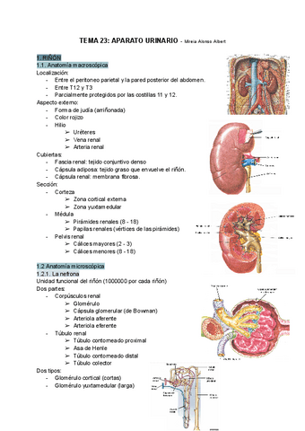 Tema-23-Aparato-urinario.pdf