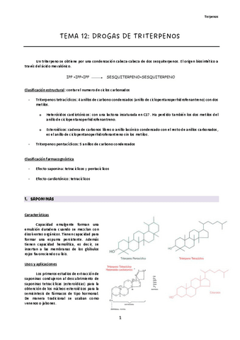 Tema-12.pdf