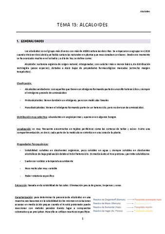 Tema-13.pdf
