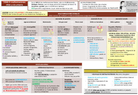 Tema 10 Malformaciones renales y vías urinarias y ITUS.pdf